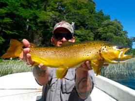 The-Brown-Trout-of-Patagonia2