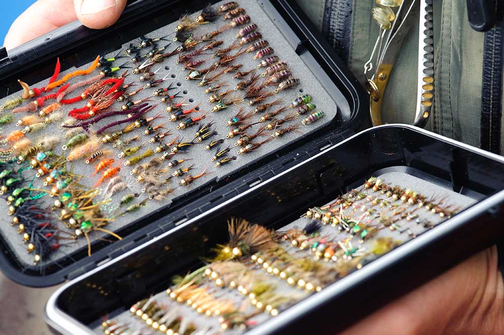 Flies in fly box